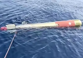 Image of the torpedo found by a group of anglers near Alicante.