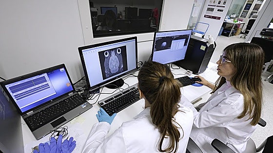 Ibima, a leading Spanish health research centre in Malaga