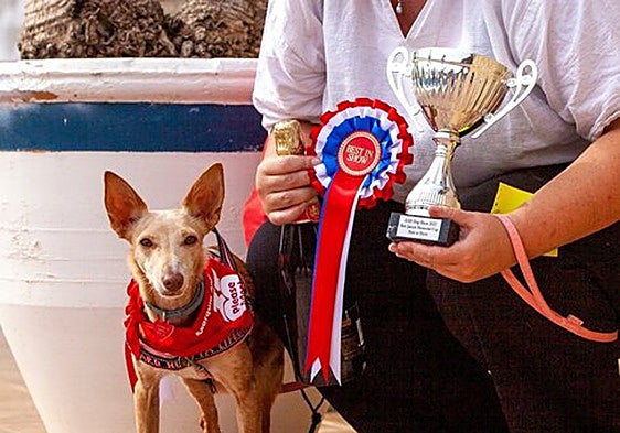 Prizes for pooches at Costa del Sol dog show
