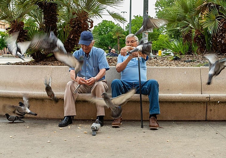 How much will the state pension for retired people in Spain go up in