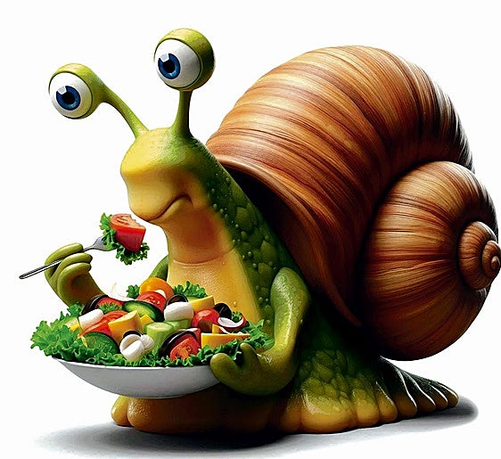 The importance of eating slowly and why you should do so