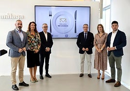 Francis Salado, president of the Diputación, during the presentation of the 'Málaga no caduca' project.