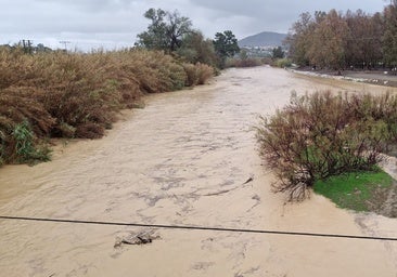 Flood warnings issued as major river is on verge of bursting its banks as downpours continue in Malaga