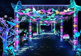 A small sample of what visitors can expect in this immersive experience.