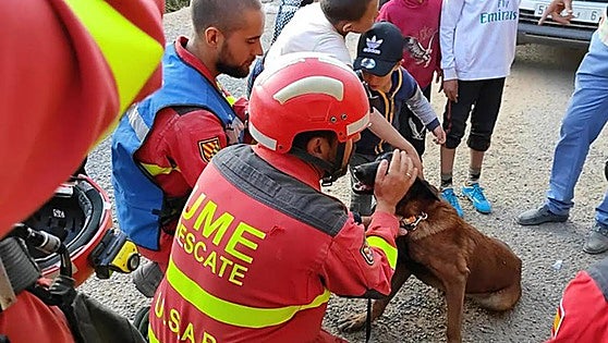Spain's emergency military unit mobilises 24 specially trained dogs in search for 'dozens' of missing persons in Valencia