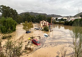 Cars swept away by the floods in the Guadalhorce river in Álora.