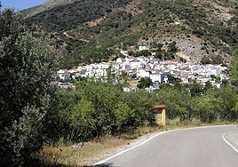 Young man dies in work accident at meat company in Serranía de Ronda village