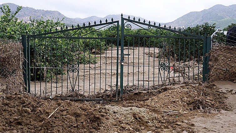 The fears of the farmers in Álora after the 'Dana' storm flooding: 'This is a disaster'