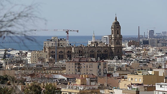 Special wood to prevent disasters like the one at Notre Dame to be used for roof at Malaga Cathedral
