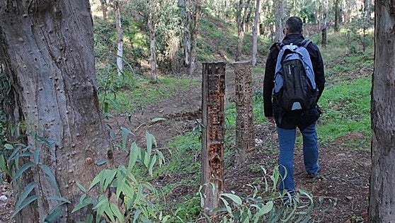 Take a hike through a 'magic forest' to enjoy the stunning views from Malaga's Monte Victoria