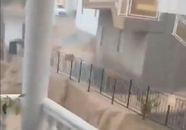 Image of the torrential downpour in Los Romanes this Wednesday 13 November.