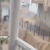 Torrential downpour deposits 45mm of rain in just a few minutes in upper Axarquía area of Malaga province