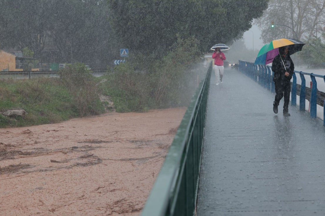 The latest 'Dana' storm sweeps through Malaga and these are the scenes it is leaving in its wake