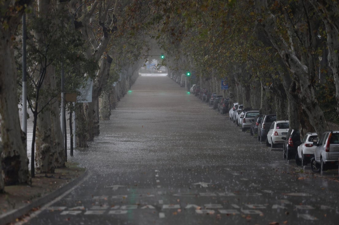 The latest 'Dana' storm sweeps through Malaga and these are the scenes it is leaving in its wake