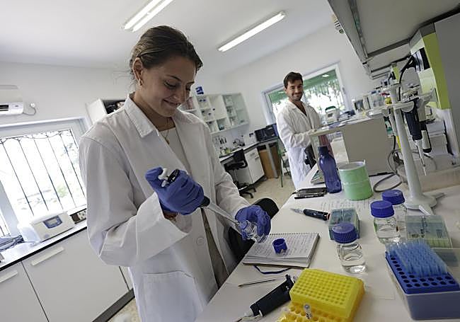 Researchers in one of the laboratories.