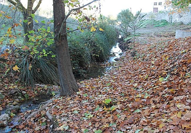 Section of the Cueva river (in front of Caño fountain).