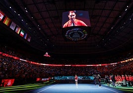 Nadal addressed the crowds in Malaga following Spain's Davis Cup elimination.