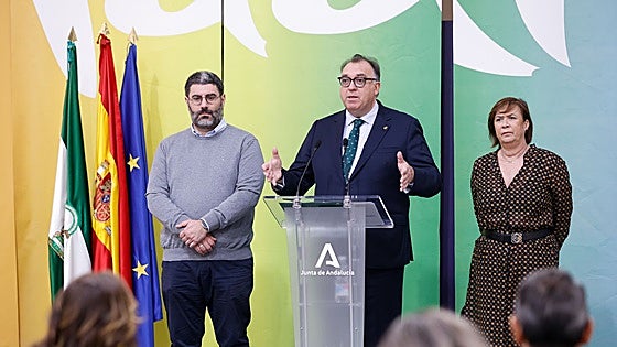 Andalucía to close 2024 as its best year in history for tourism