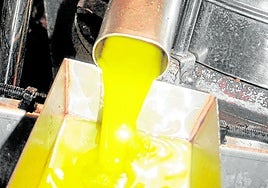 Olive oil, Malaga's star export product.