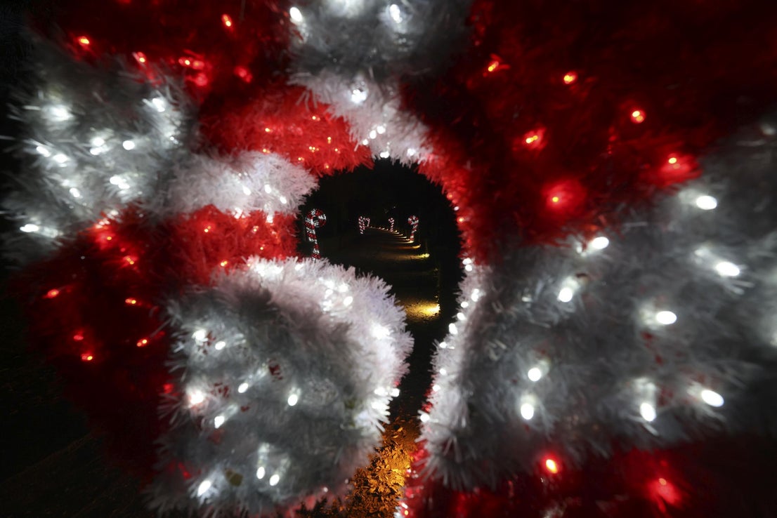 Christmas lights at La Concepción in Malaga