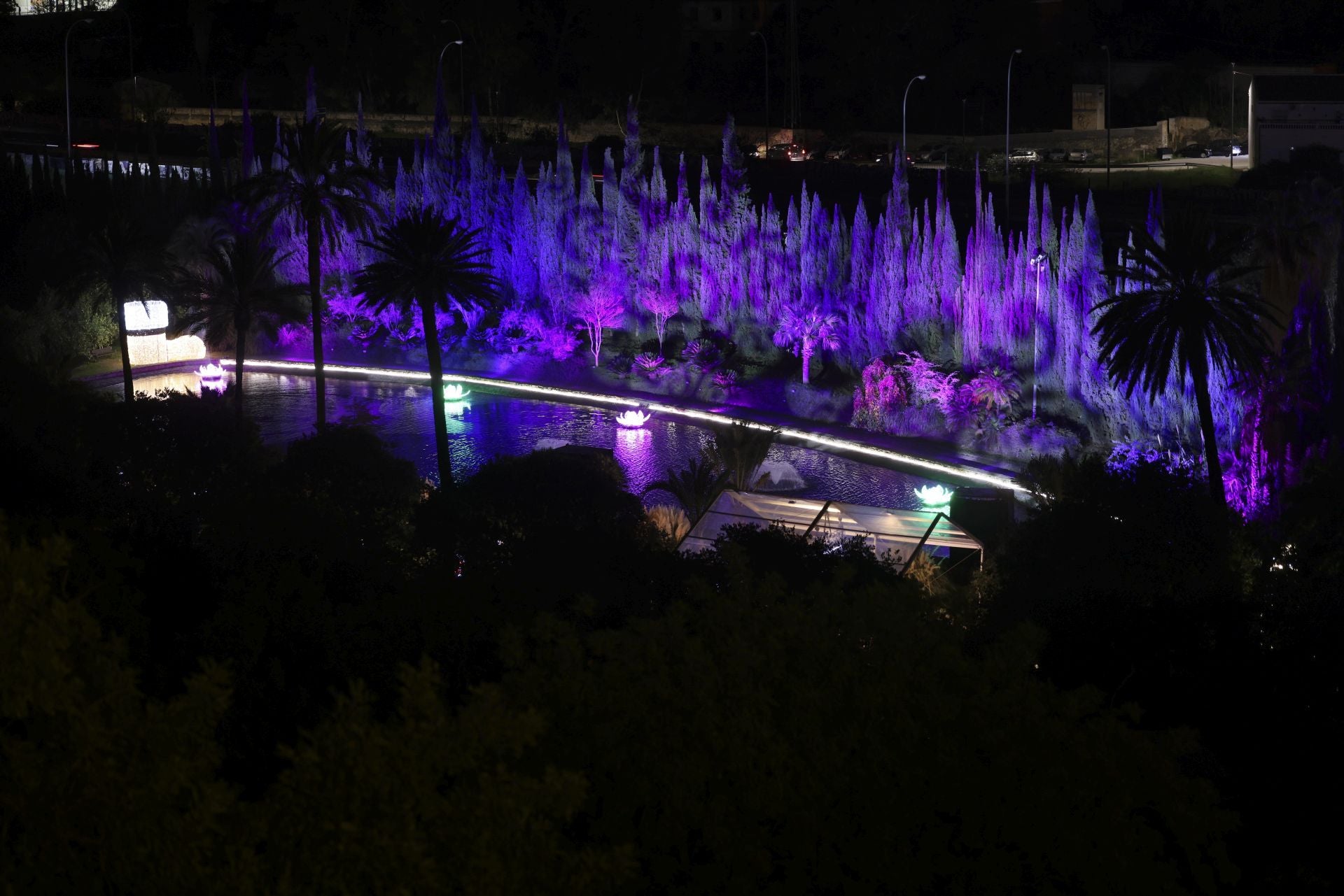 Christmas lights at La Concepción in Malaga