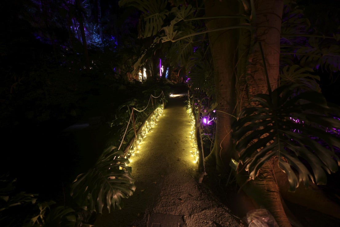 Christmas lights at La Concepción in Malaga