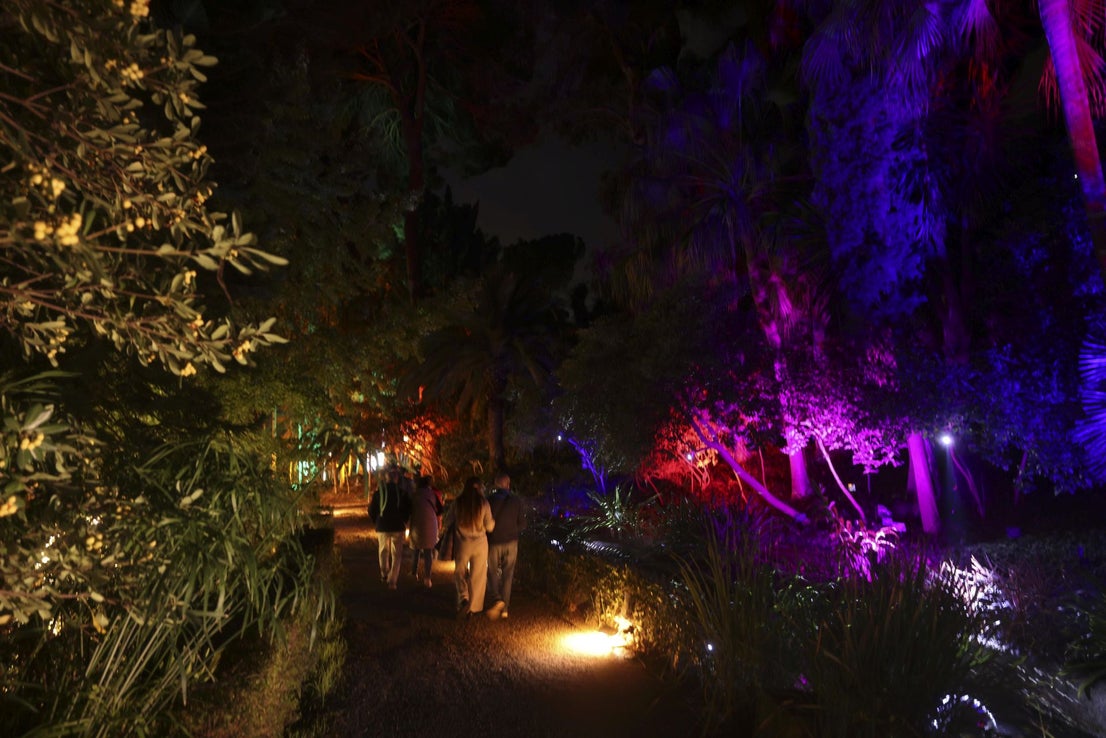 Christmas lights at La Concepción in Malaga