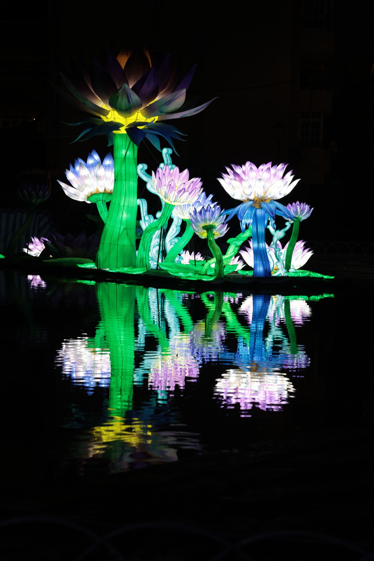 Chinese lantern festival in pictures