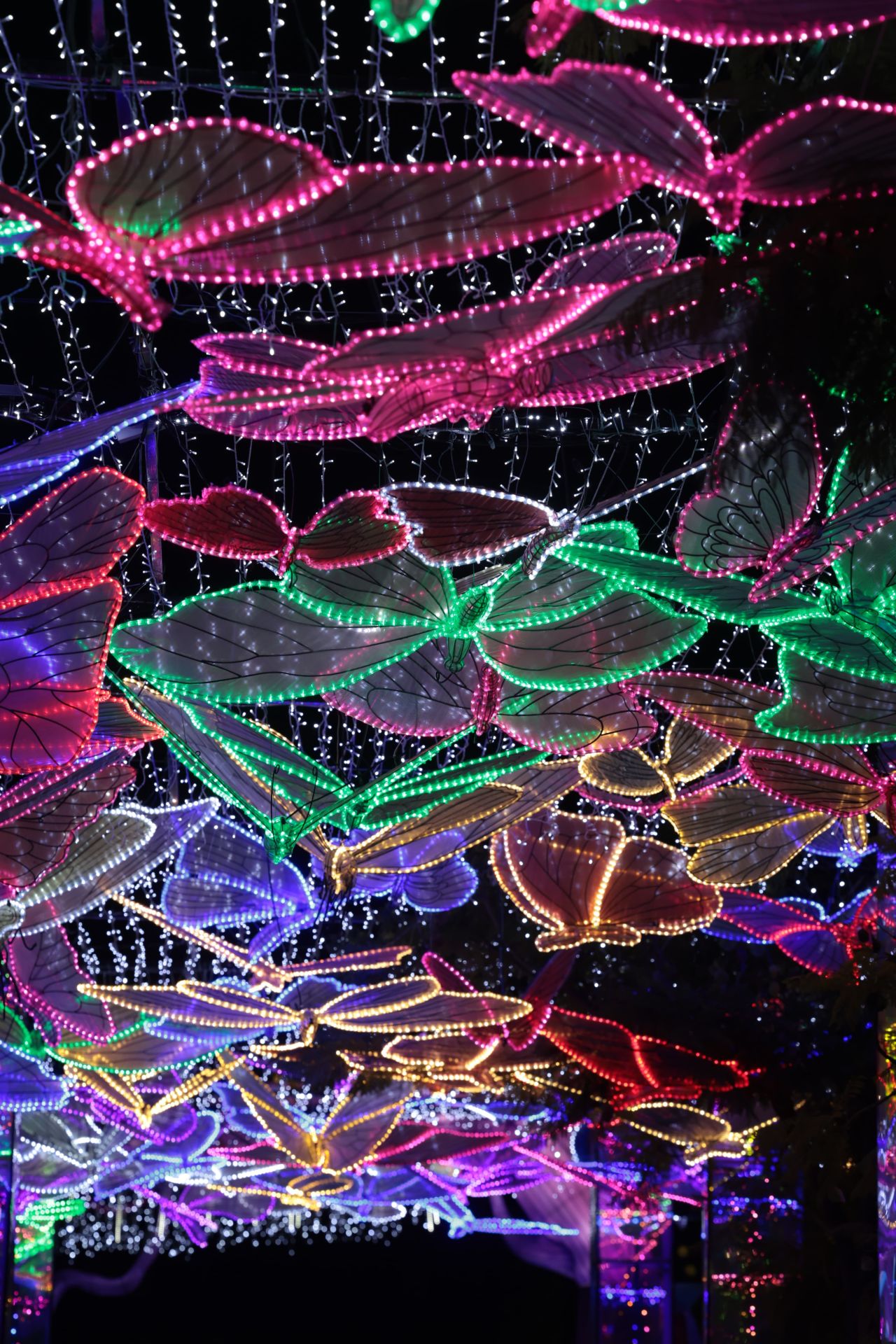 Chinese lantern festival in pictures