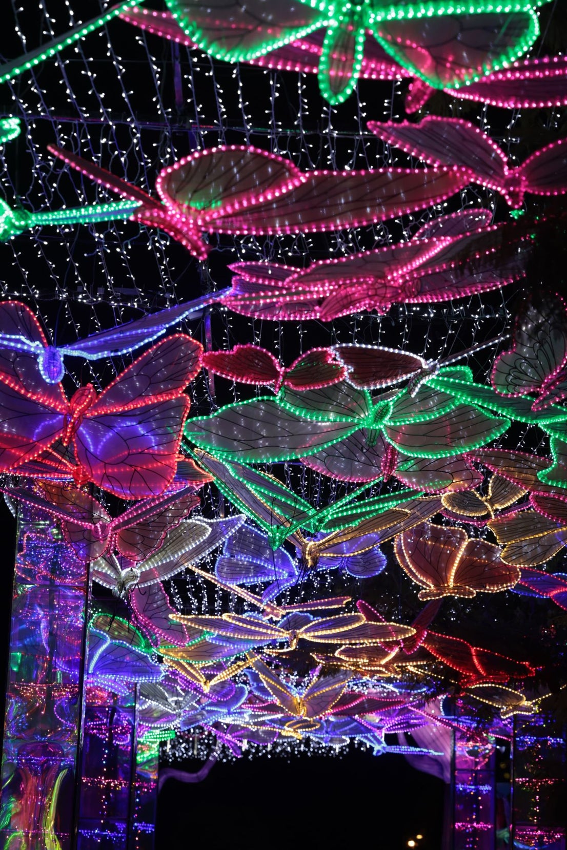 Chinese lantern festival in pictures
