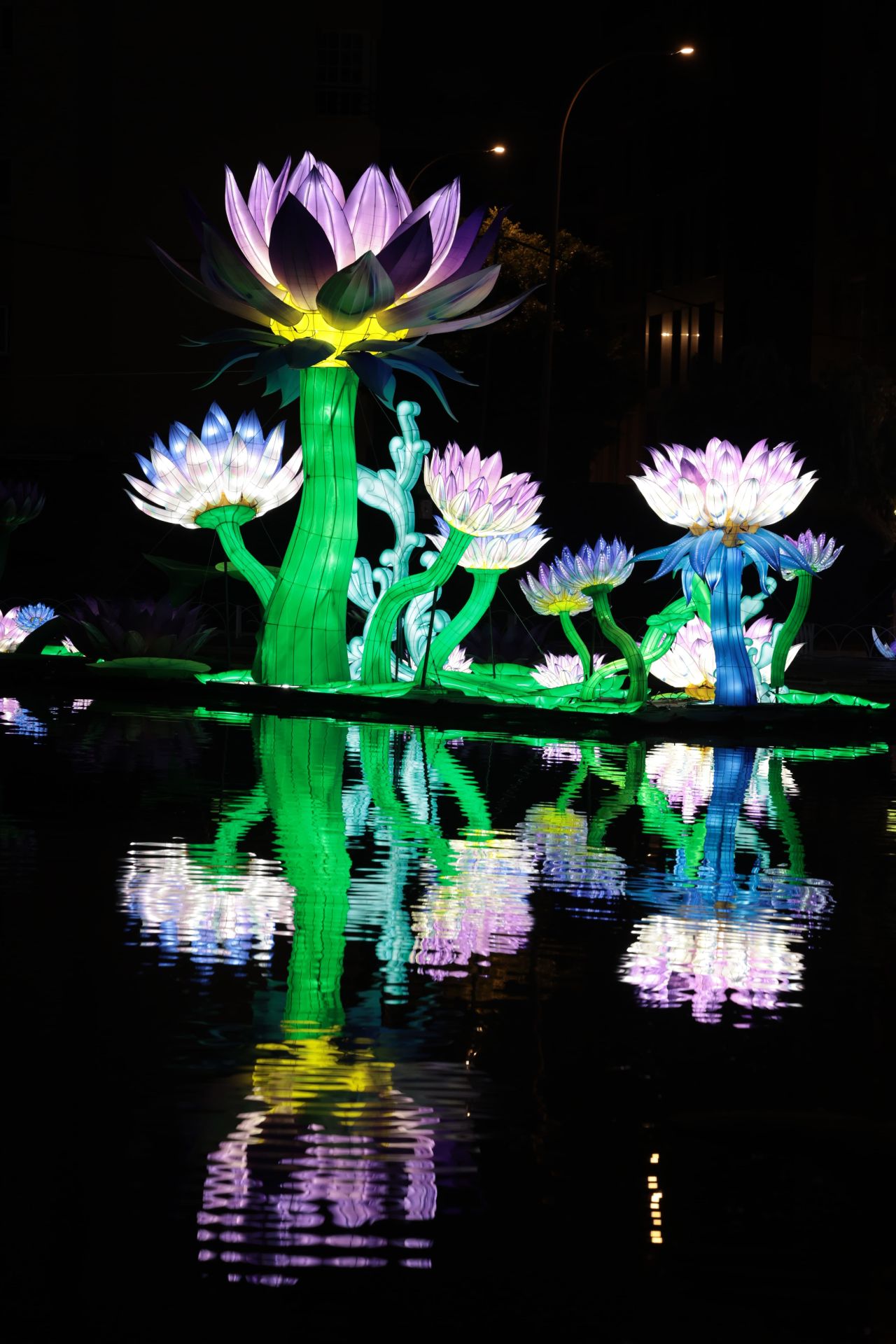 Chinese lantern festival in pictures
