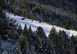 The Pyrenean mountains can be explored on foot, skiing or snowshoeing