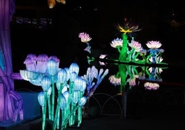 Lights at Chinese Lantern festival in Malaga