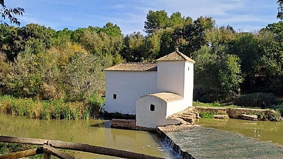 The land of bread and cakes, a windmill route and a dragon bridge