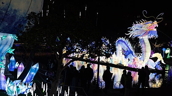 Malaga's new Chinese festival of light and lanterns is a hit on opening night: 'It's worth it'