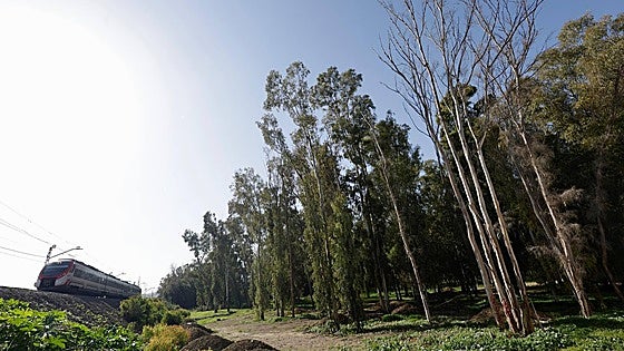University plans to use 'forgotten' piece of land near Malaga Airport as car park to boost income