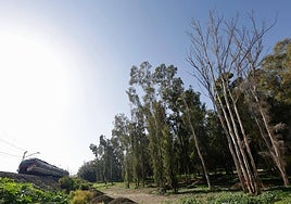 Part of the estate known as La Máquina Grande.