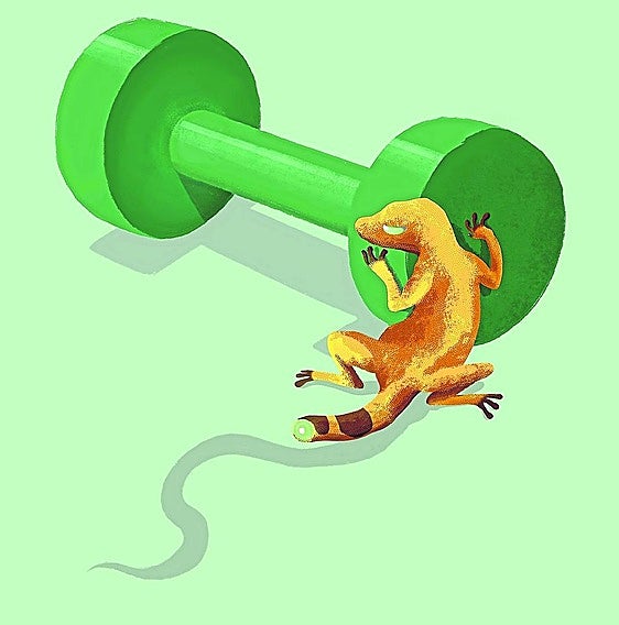 Muscles: your guarantee of a healthier life