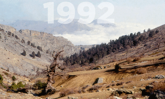 Nature given a helping hand in the Sierra de las Nieves