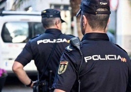 One of leaders of international Cuban migrant smuggling network arrested in Malaga province