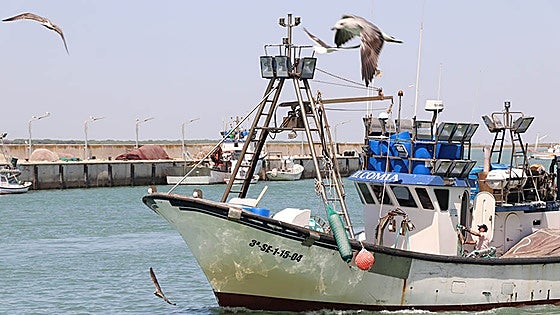 Andalucía's fishing sector and Junta reject latest EU quotas