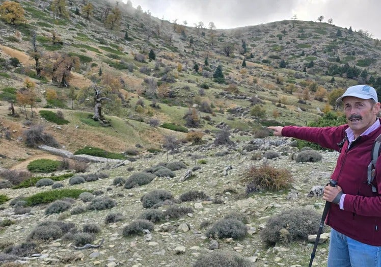 The director of the national park, Rafael Haro, points to one of the retaining walls among the vegetation.