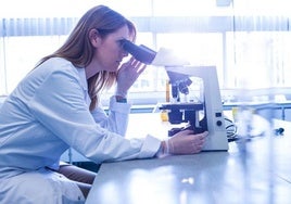 A researcher hard at work in a laboratory.