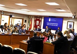 File image of a council meeting in Benalmádena.