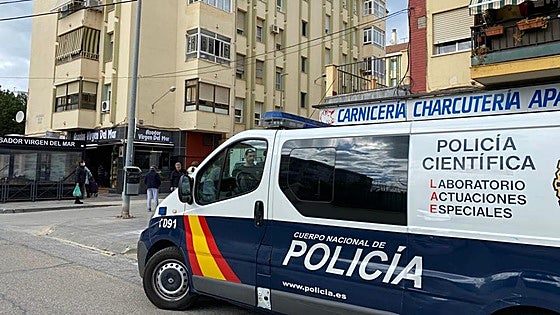 Violent deaths and attempted murders up in Malaga province