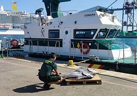 File image of a Guardia Civil officer with two tuna fish seized in Alicante.