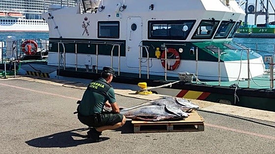 Gang that poached tuna with the risk of causing 'serious food poisoning' smashed on the Costa
