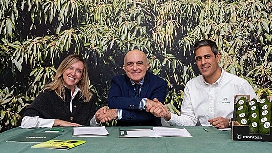 Tropical fruit firm donates mangoes and avocados to Costa del Sol food bank