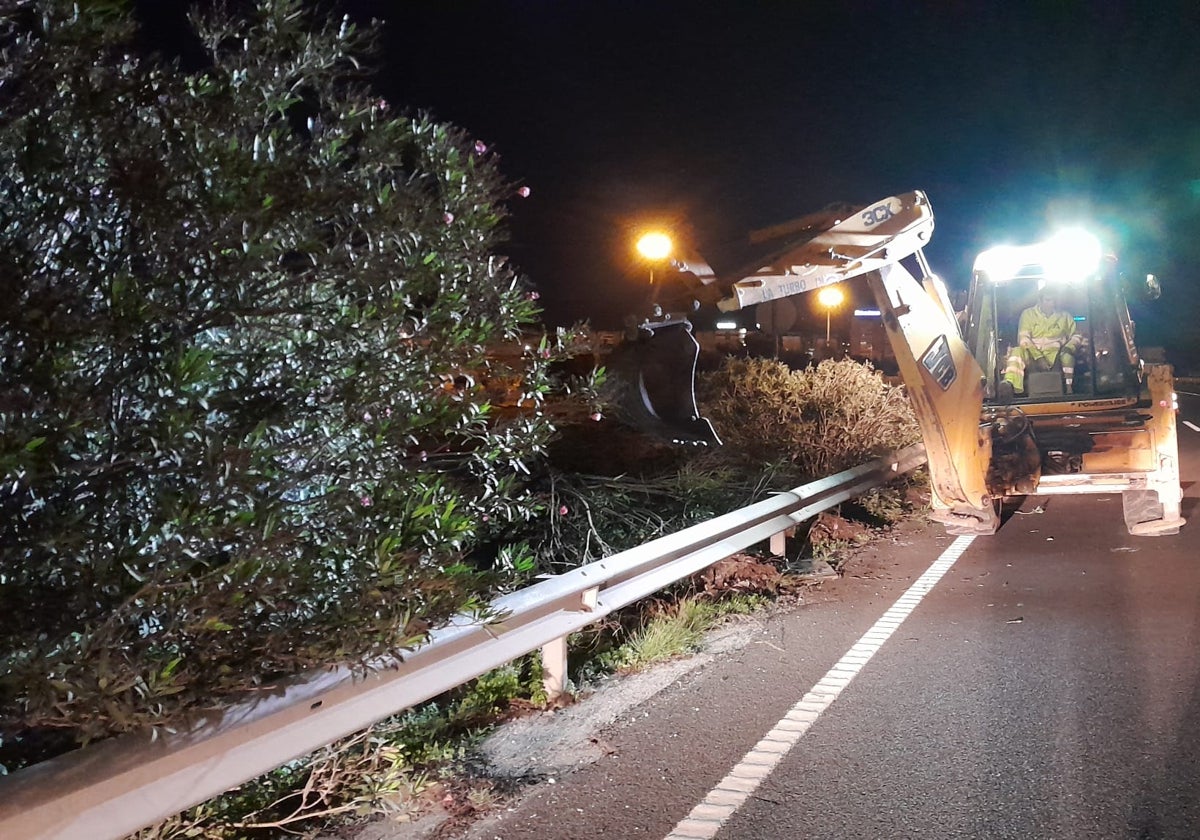 Night work to remove vegetation from the median strip where the road will be widened.