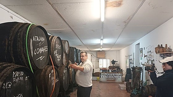 Malaga village to be on show at London's Tate Modern